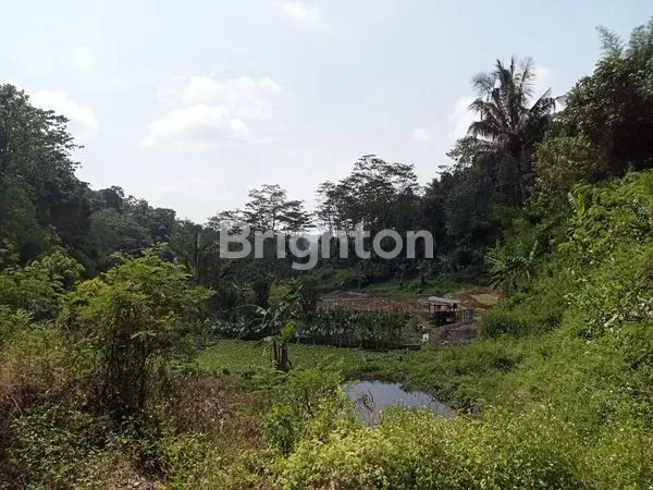 image LAHAN BANYAK SUMBER AIR BAGUS UNTUK USAHA AIR DAN PEMANCINGANLOKASI DESA KEJI - UNGARAN  (4)