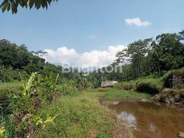 image LAHAN BANYAK SUMBER AIR BAGUS UNTUK USAHA AIR DAN PEMANCINGANLOKASI DESA KEJI - UNGARAN  (3)
