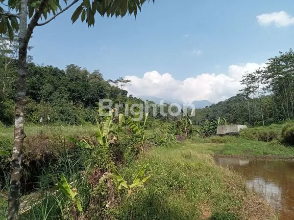 image LAHAN BANYAK SUMBER AIR BAGUS UNTUK USAHA AIR DAN PEMANCINGANLOKASI DESA KEJI - UNGARAN  (5)