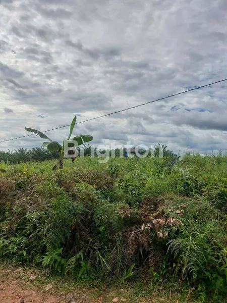 image TANAH DI DAERAH KILO 31 (2)