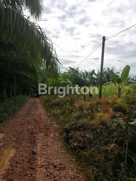 image TANAH DI DAERAH KILO 31 (1)