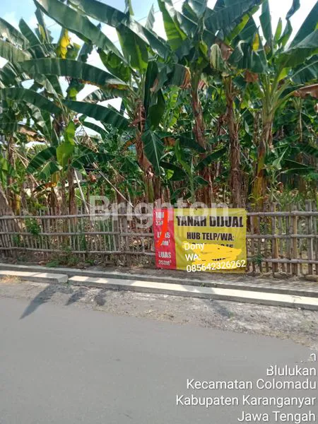 image  TANAH ISTIMEWA DI PUSPAN BLULUKAN COLOMADU (4)