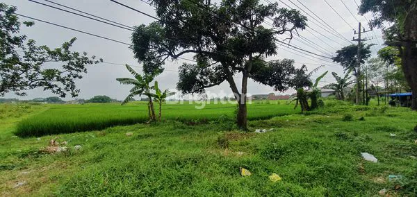 image TANAH LUAS JALAN POROS SINGOSARI (4)