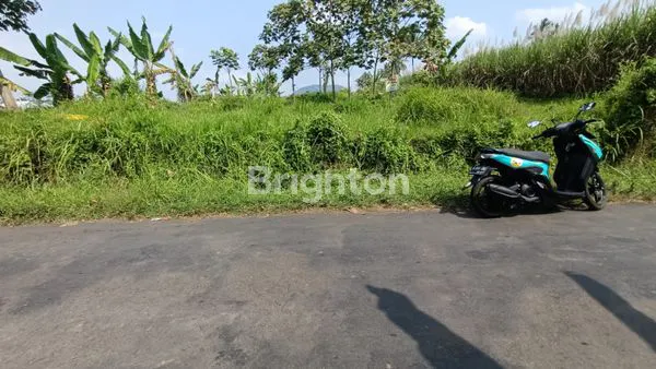 image TANAH 2100 M DI JAMURAN, SUKODADI, KEC WAGIR, KAB MALANG (1)