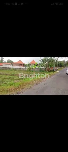 image TANAH TINGGI PUNCAK TRAWAS (3)