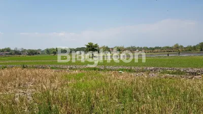 Gambar Property TANAH GUDANG INDUSTRI