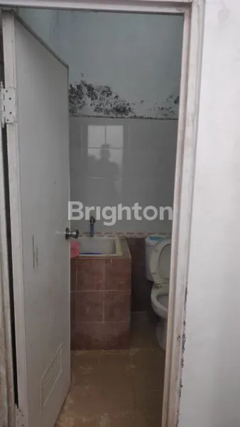 image GREEN SEMANGGI MANGROVE CLUSTER OSBORNIA (2)