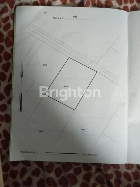 image TANAH 1.166 M2 DI MULYOJATI, DS JATISARI, KEC TAJINAN, KAB MALANG (1)