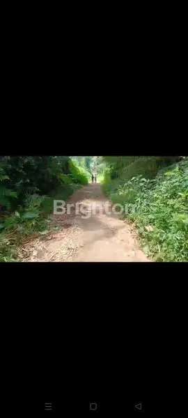 image TANAH 1.166 M2 DI MULYOJATI, DS JATISARI, KEC TAJINAN, KAB MALANG (3)