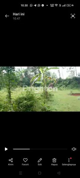 image TANAH 1.166 M2 DI MULYOJATI, DS JATISARI, KEC TAJINAN, KAB MALANG (5)