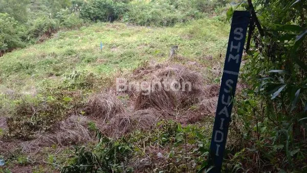 TANAH KAVLINGAN  DI PERUMAHAN  DEKAT  JALAN TOLL BALIKPAPAN-SAMARINDA