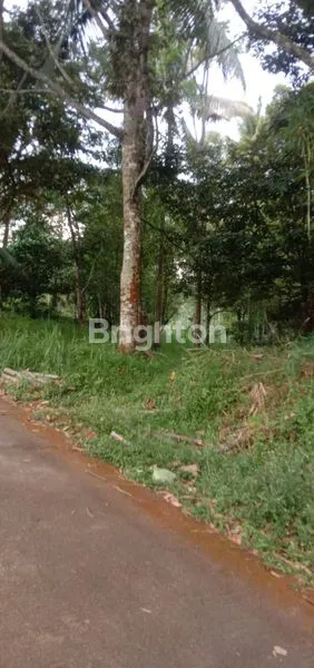 image TANAH POLOBUGO SIAP BANGUN UNTUK HUNIAN VILA DLL KOPENG (3)