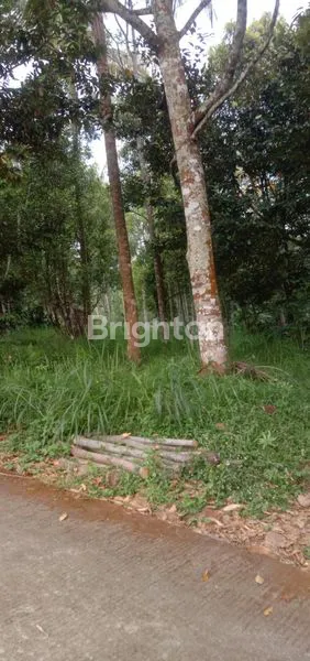 image TANAH POLOBUGO SIAP BANGUN UNTUK HUNIAN VILA DLL KOPENG (4)