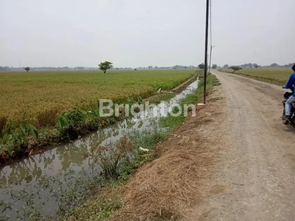 image TANAH LUAS DESA PLAWAD (2)