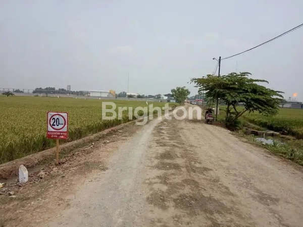 image TANAH LUAS DESA PLAWAD (3)