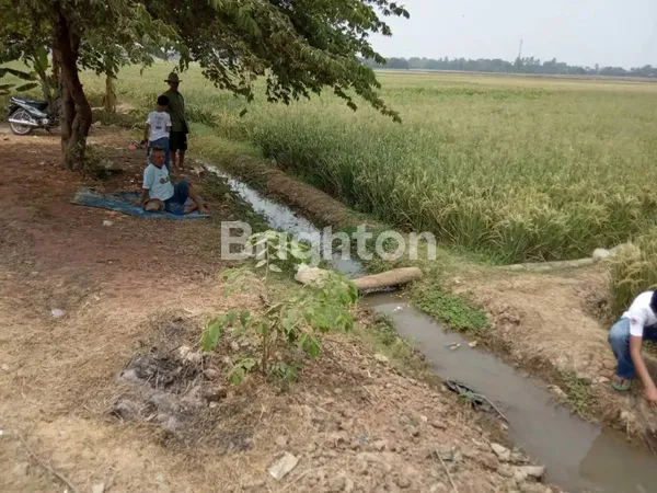 image TANAH LUAS DESA PLAWAD (4)