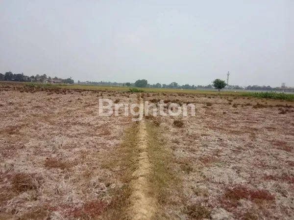 image TANAH LUAS DESA PLAWAD (5)