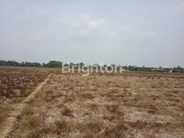 image TANAH LUAS DESA PLAWAD (6)