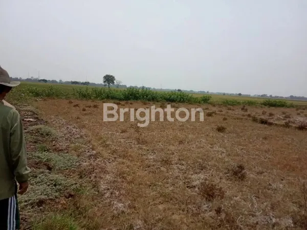 image TANAH LUAS DESA PLAWAD (8)