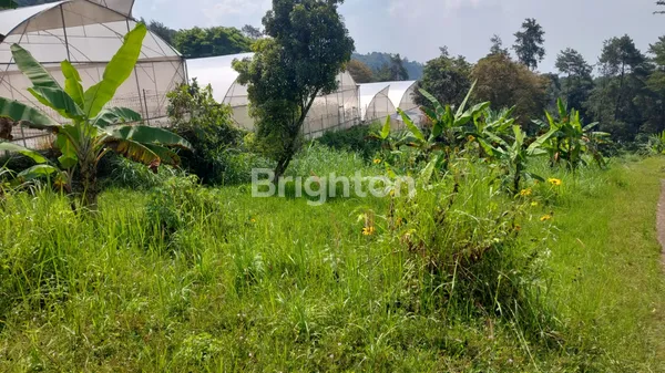 image TANAH VIEW ISTIMEWA COCOK BUAT VILLA DEKAT CLUB HOUSE TAMAN DAYU (1)