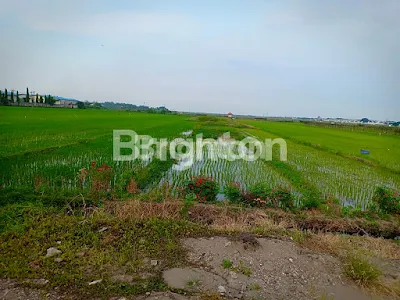 image TANAH DI JUAL DI NOL JALAN RAYA SEDATI (1)