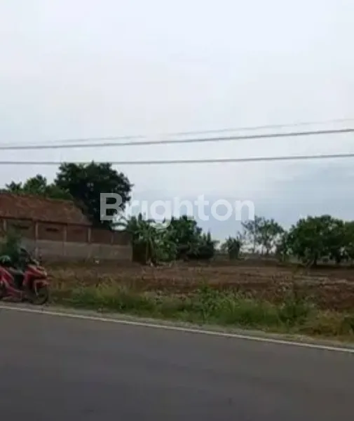 image TANAH DI PLOSO JOMBANG LOKASI STRATEGIS DEKAT DENGAN TOL JOMBANG (1)