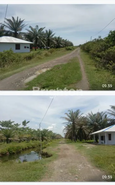 image TANAH MURAH DI KAWASAN INDUSTRI (1)