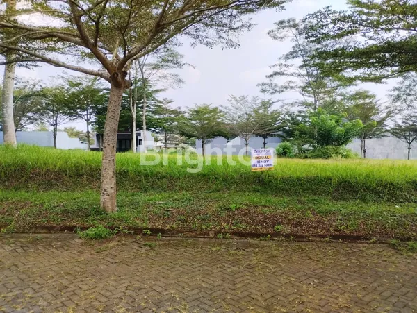 image TANAH PALM VALLEY ARAYA (1)