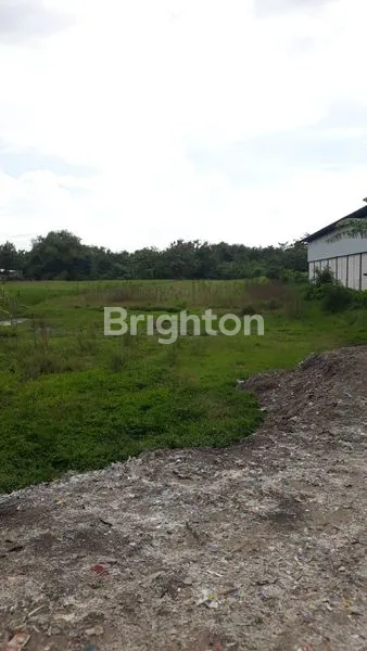TANAH LUAS DI AREA PETERONGAN JOMBANG
