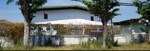 image GUDANG PASURUAN (1)