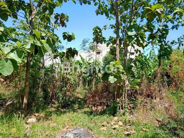 image TURUN HARGA TANAH  DAERAH GEMOLONG SRAGEN (3)