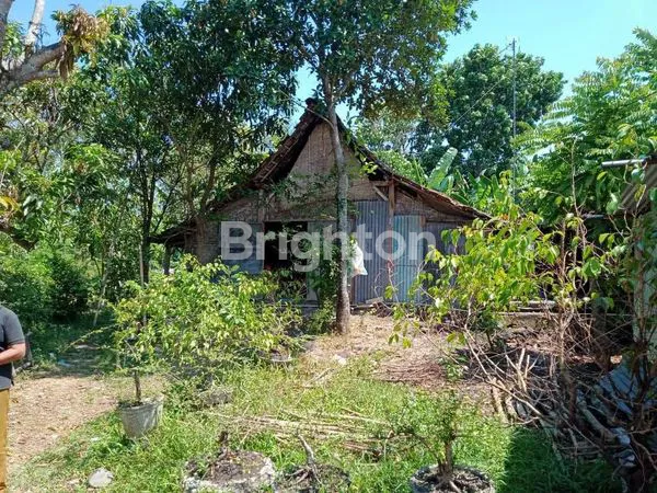 image TURUN HARGA TANAH  DAERAH GEMOLONG SRAGEN (5)