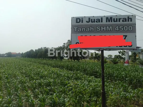 image TANAH PEKARANGAN SIAP BANGUN 0 JALAN RAYA PROVINSI MOJOAGUNG (1)