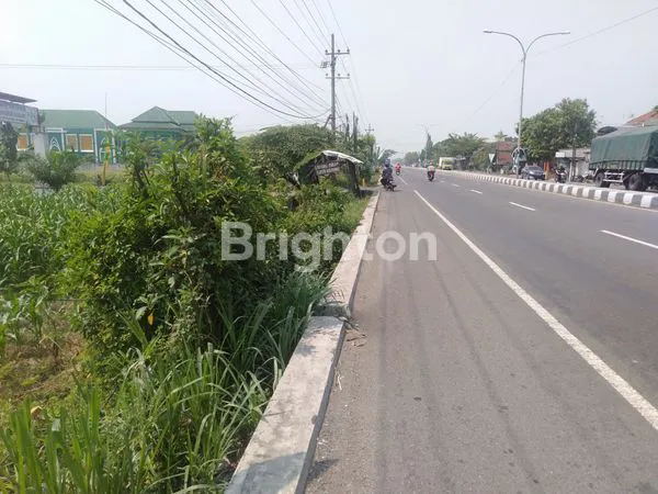 image TANAH PEKARANGAN SIAP BANGUN 0 JALAN RAYA PROVINSI MOJOAGUNG (5)