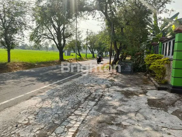 image DIJUAL RUMAH BESAR BESERTA SARANG BURUNG WALET BISA UNTUK PASIF INCOME DI MADIUN JAWA TIMUR (4)