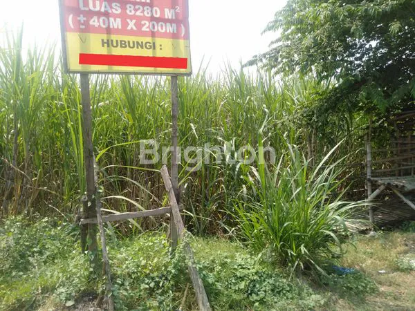 image TANAH STRATEGIS DAN LUAS DI 0 JALAN RAYA PROVINSI MOJOAGUNG (1)