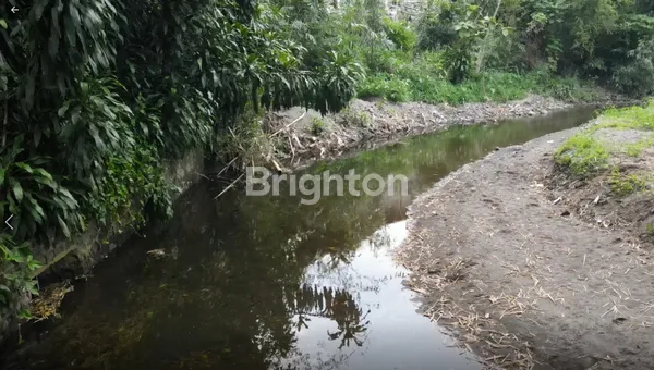 image TANAH TEPI SUNGAI LOKASI ARTISTIK (5)