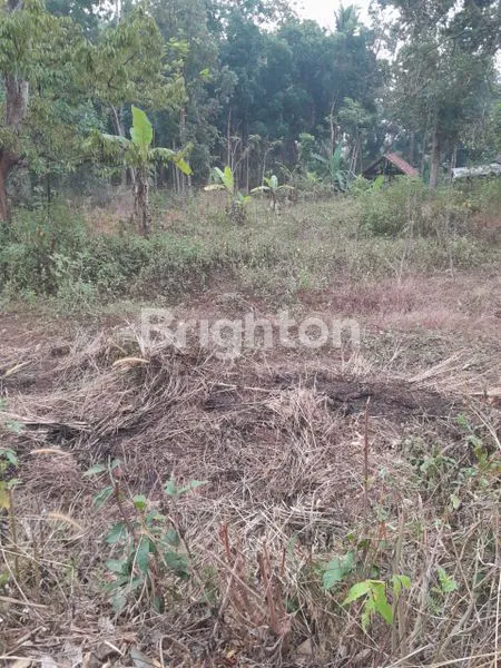 image TANAH GUNUNG PATI SEMARANG JAWA TENGAH (2)