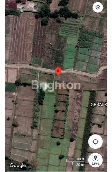 image TANAH DOMAS - GRESIK (1)