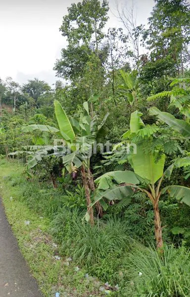 image TANAH KOSONG LUAS SUKA MAKMUR JONGGOL BOGOR (2)