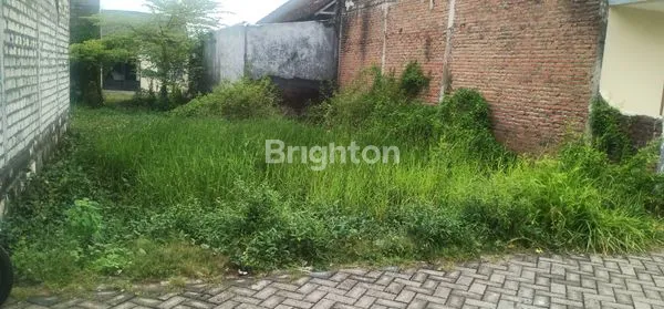 TANAH SIAP BANGUN SEDATI