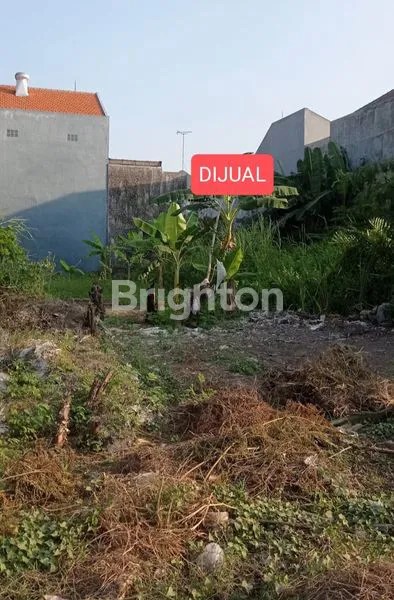 image TANAH KLAMPIS SIAP BANGUN SELANGKAH KE MERR DEKAT KAMPUS, SUPERMARKET (1)