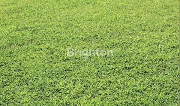 Gambar Property TANAH KAVLING GRAND PAKUWON CLUSTER SOUTH VICTORIA SIAP BANGUN