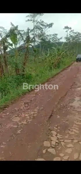 TANAH SIAP BANGUN KALORAN SEJUK