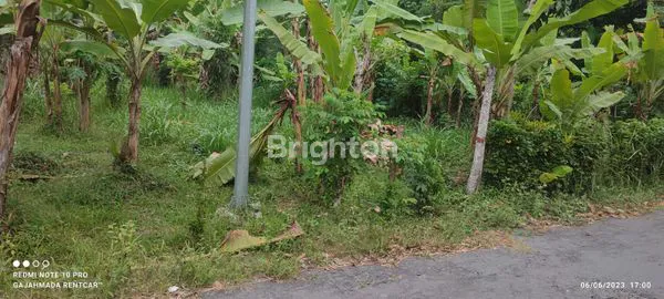 image TANAH DI TANJUNGSARI KOTA BLITAR (2)
