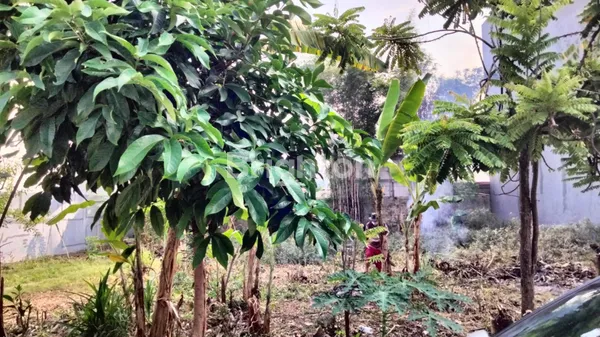 Gambar Property TANAH RESIDENSIAL KEDOYA JAKARTA BARAT DI LOKASI STRATEGIS