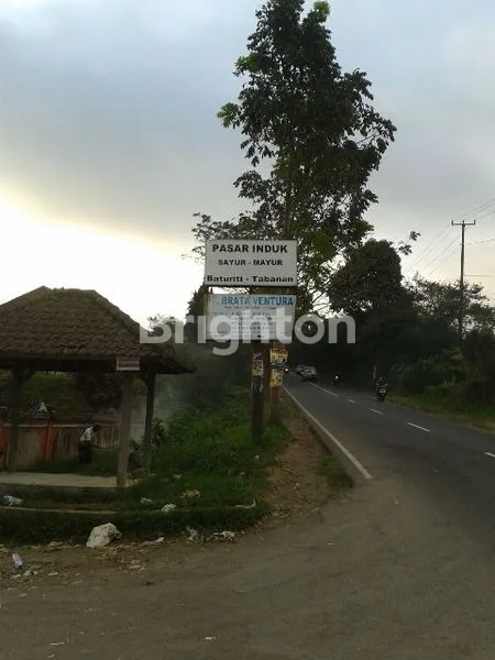 image LANGKA TANAH UKURAN KECIL AREA PERKEBUNAN, SEJUK ! JUAL TANAH BATURITI TABANAN (4)