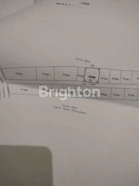 image LANGKA TANAH UKURAN KECIL AREA PERKEBUNAN, SEJUK ! JUAL TANAH BATURITI TABANAN (5)