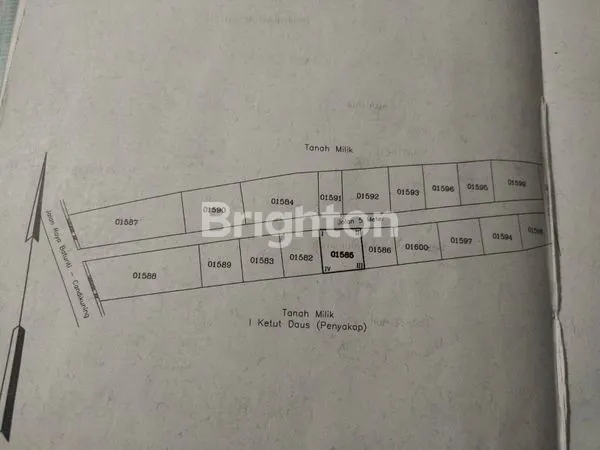 JARANG ADA TANAH UKURAN KECIL DI BATURITI! JUAL TANAH BATURITI TABANAN