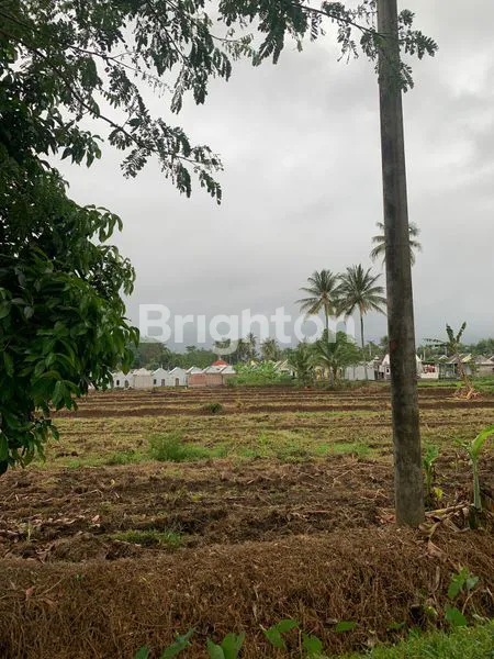 image LAHAN LUAS COCOK UNTUK PERUMAHAN (2)